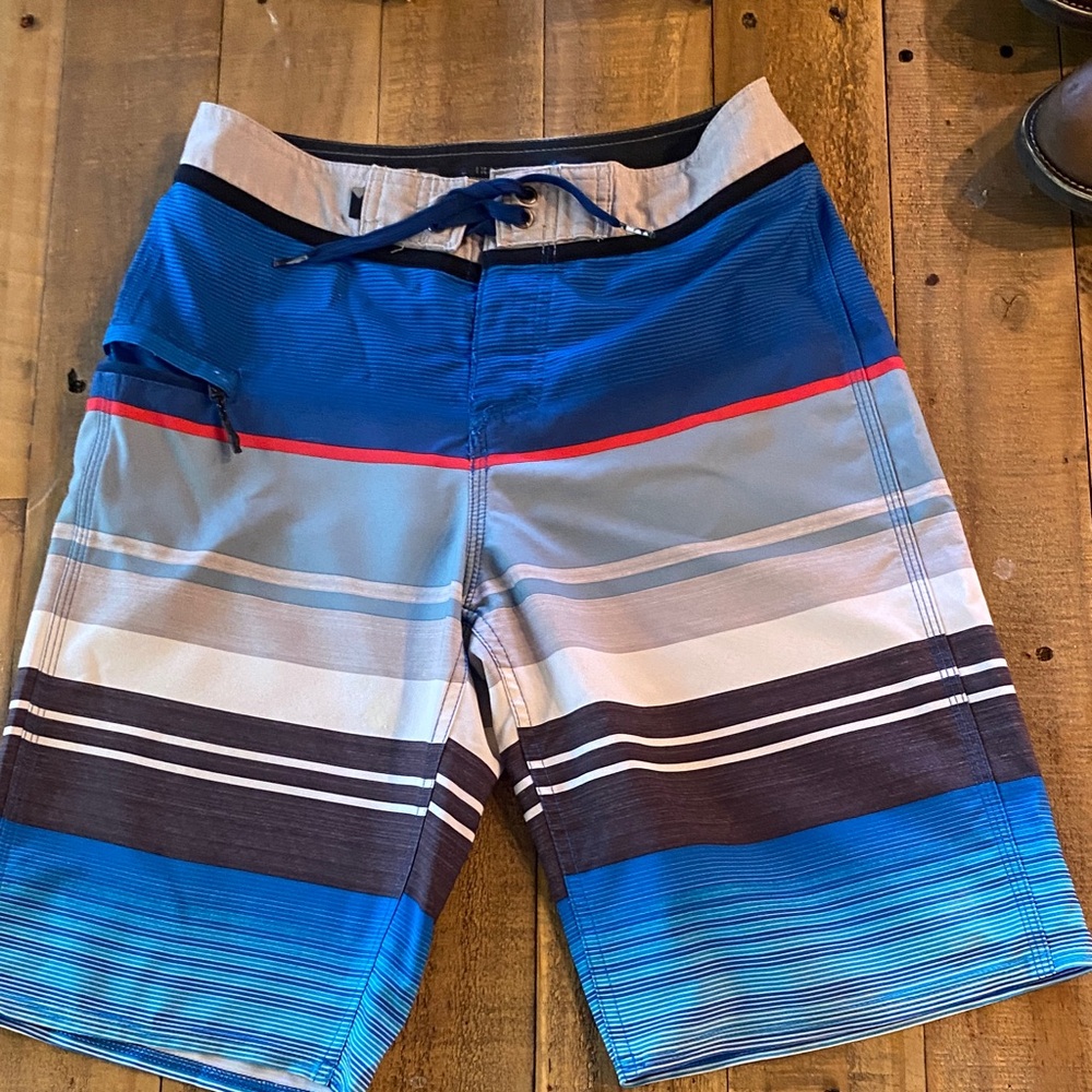 Men's Blue Striped Swim Shorts